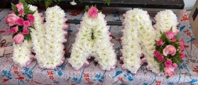 Nan pink